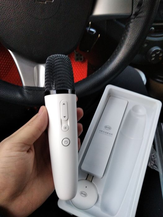 Byd Mikrafon Karaoke