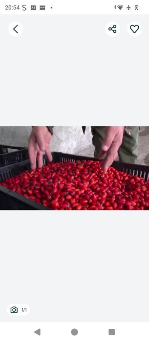 Va pot ajuta cu măceșe naturale culese manual.