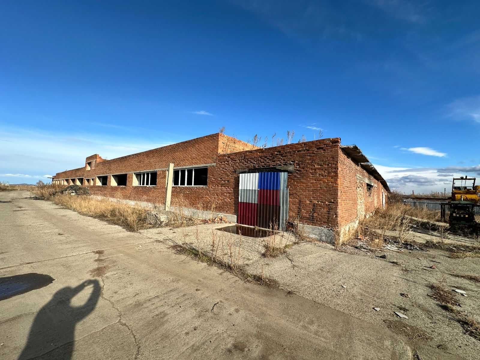 В продаже База новоявленка Алаш 1