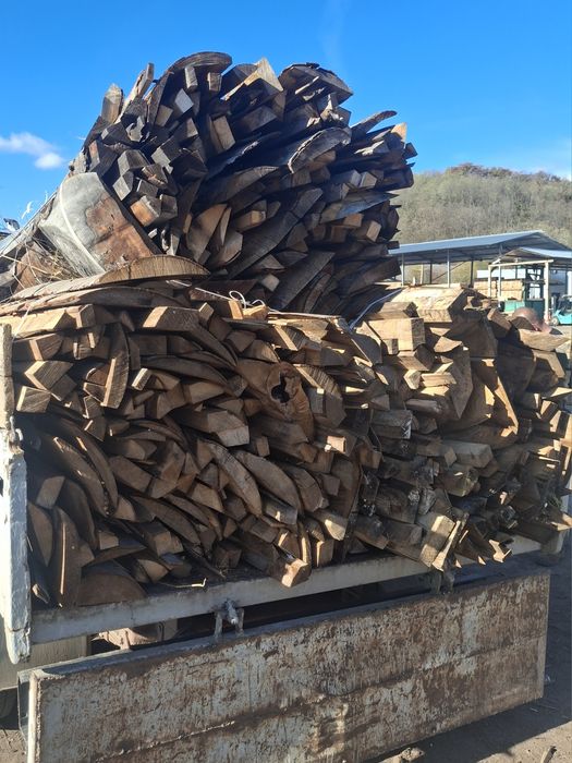 Laturoaie uscate de fag.