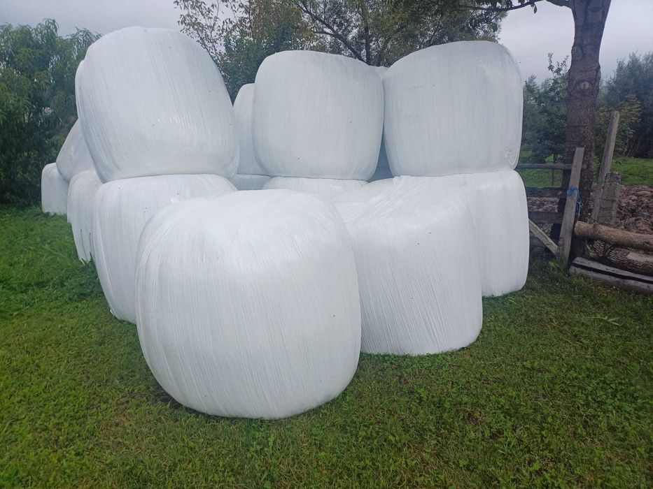 baloti infoloati lucernă