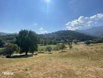 Teren extravilan de vânzare în Râșnov | 6.070 mp | Vedere panoramică