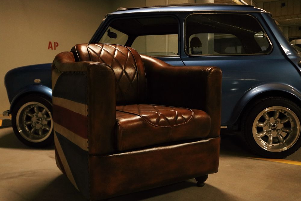 Fotoliu din Piele de Bizon