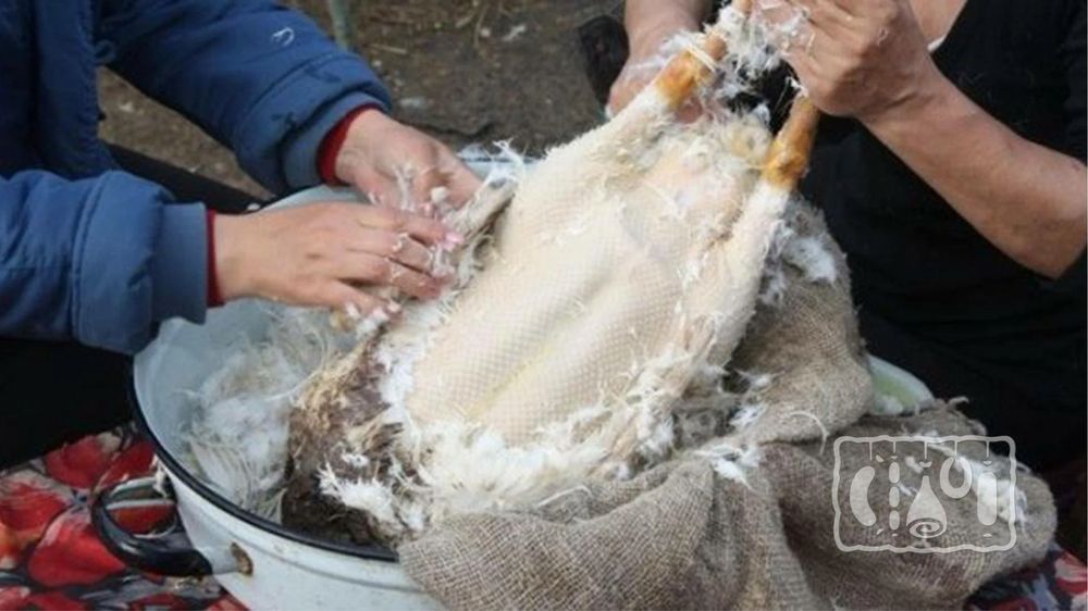 Обработка и Ощип Гуся