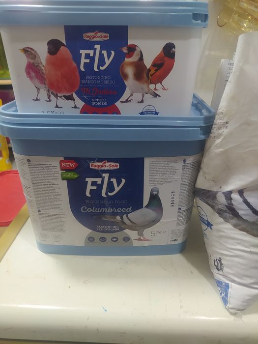 Каптарлар ва барча кушлар учун