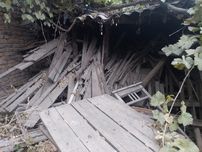 Дрова доски  брёвна разных размеров