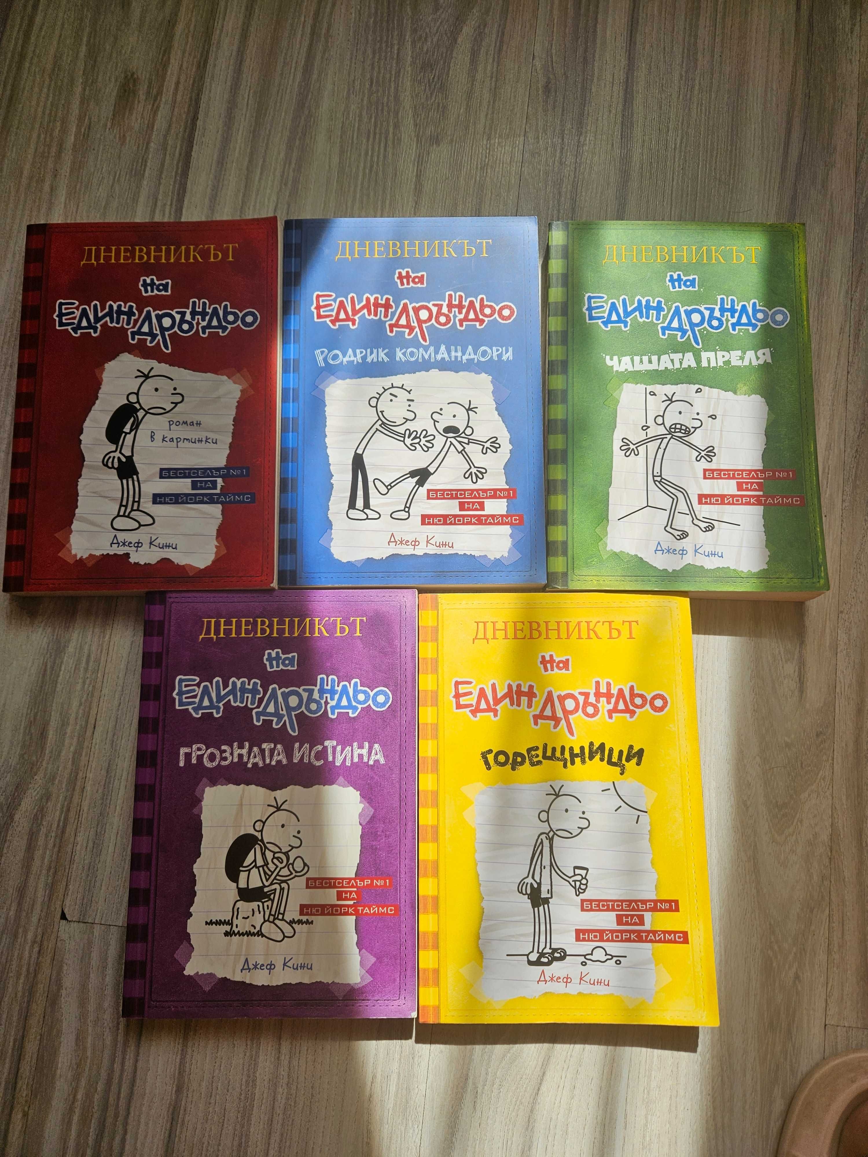 Книга "Дневникът на един дръндьо"