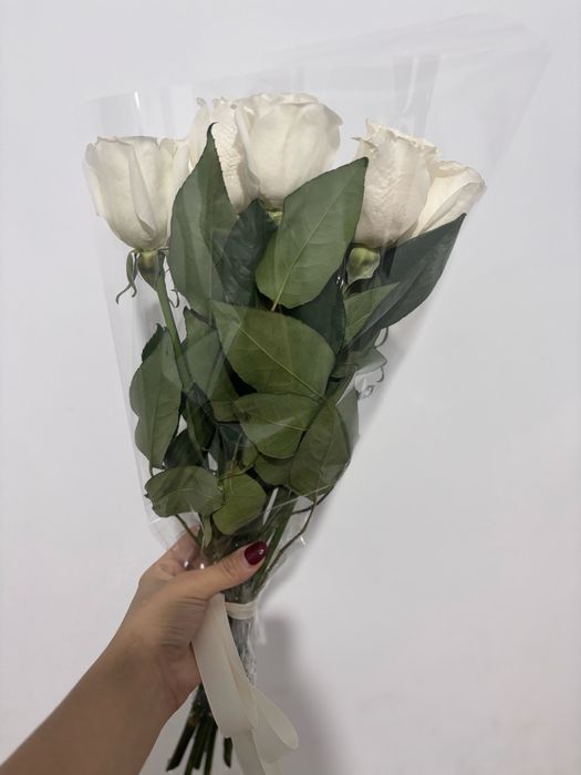 Цветы роза гүл сатылады свежый бүгін сыйлады 11шт исі керемет