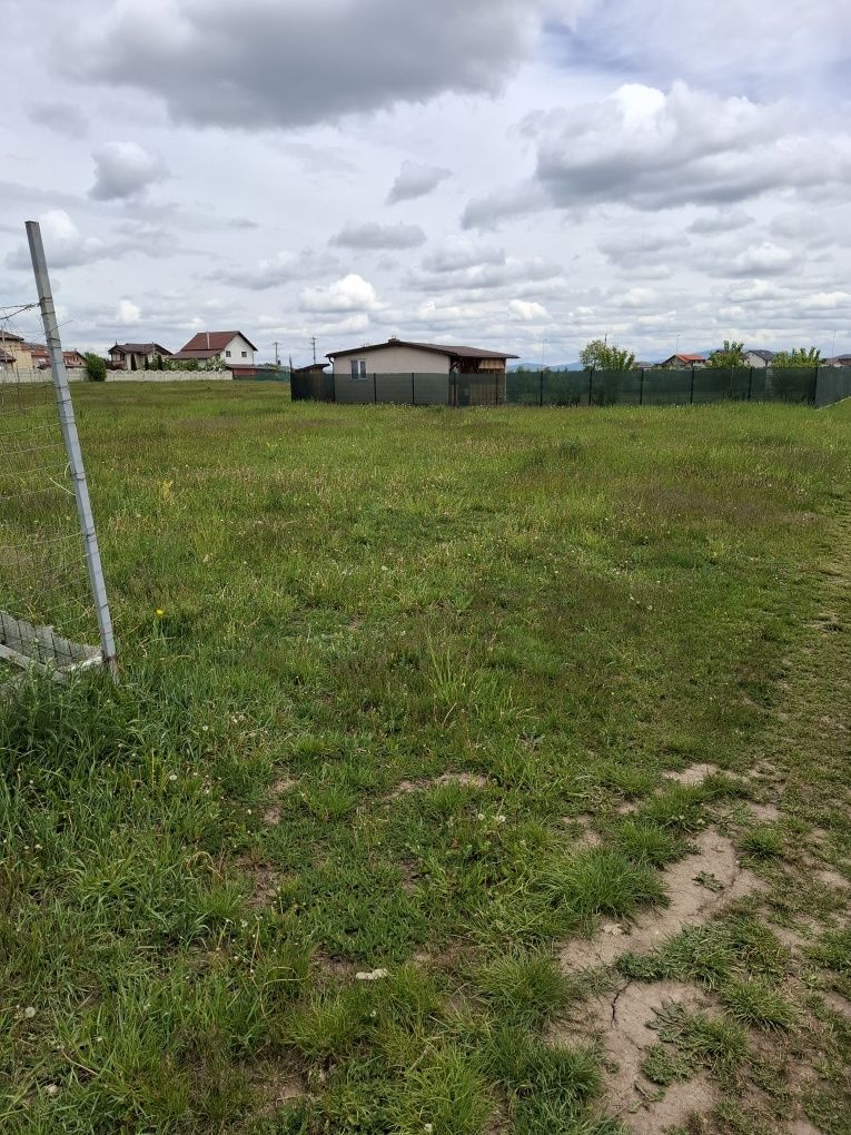 Vând loc de casă Sânpetru-Bod
