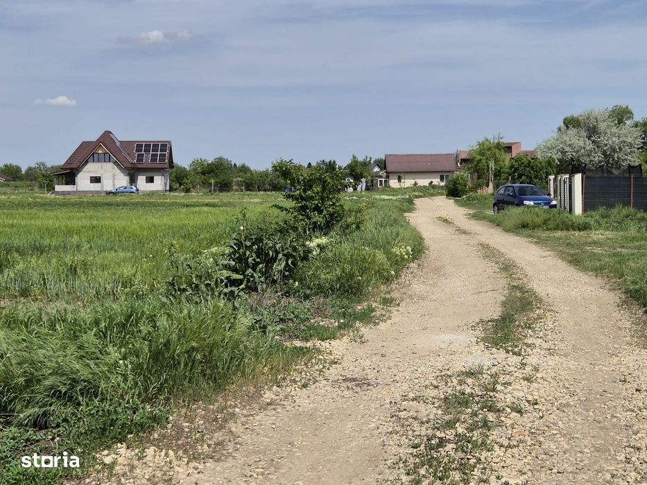 Cornetu, str Amurgului, teren 1.150mp.