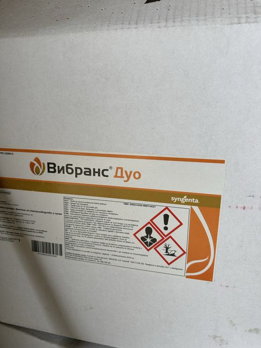Семе пшеница Авеню - първо размножение обеззаразено