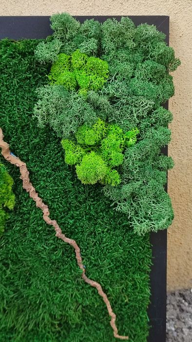 Tablou cu mușchi si licheni stabilizati