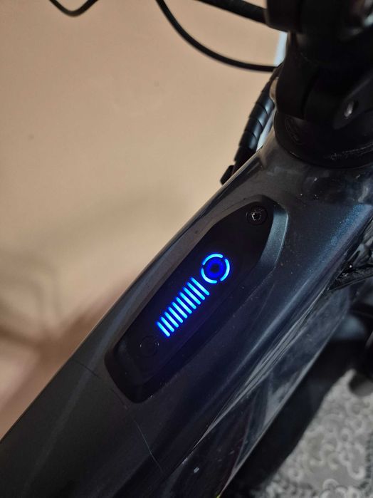 Specialized turbo levo 29 er