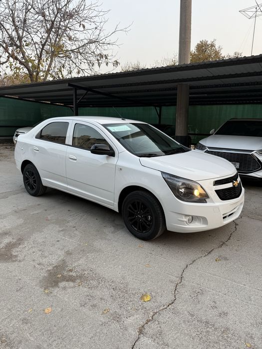 Cobalt Midnight MCM plus 25/26 Yengi