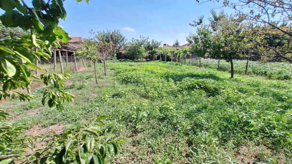 от собственик къща в гр. Съединение