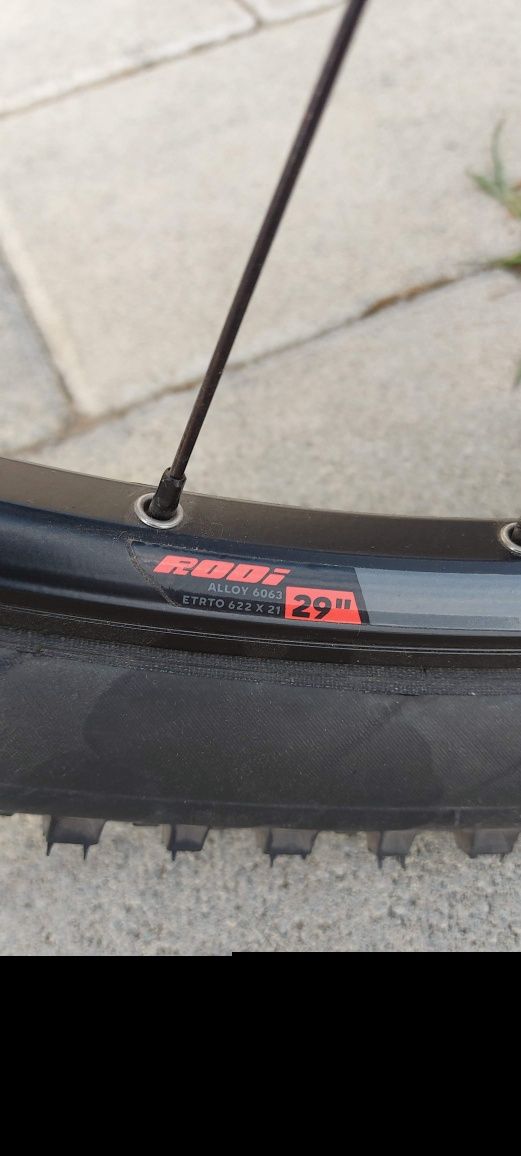 Bicicletă focus pentru adulti