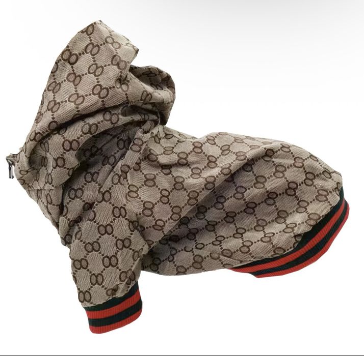 одежда для собак