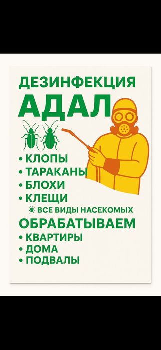 Дезенфекция и дератизация и дизенцекция