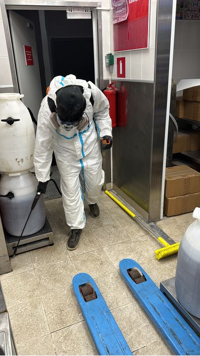 Обработка от тараканов, клопов и грызунов