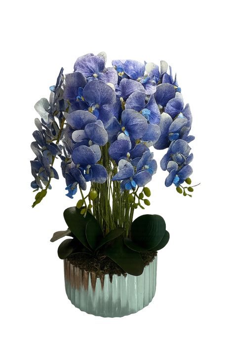 Aranjamente orhidee real touch