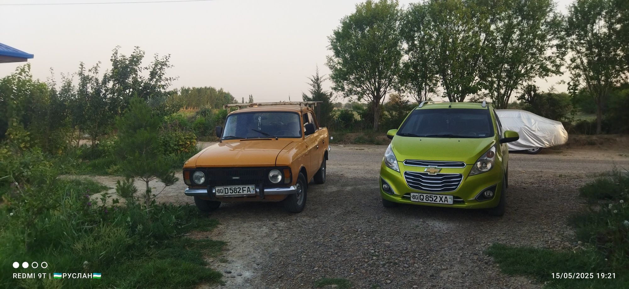 Masalan Maskivich 412