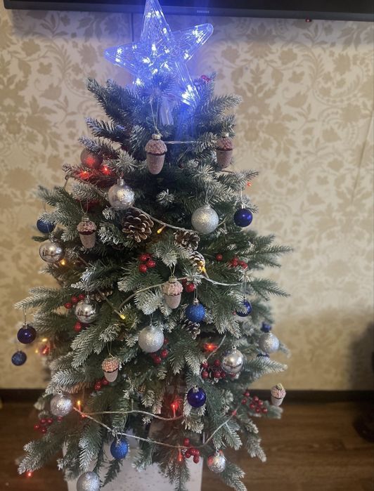 Арча сотилади. Ёлка продаётся. Archa sotiladi