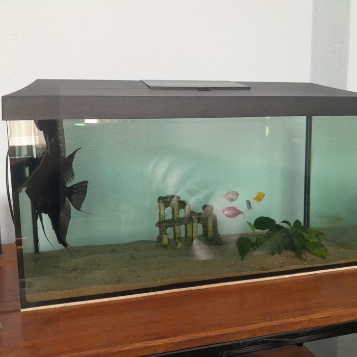 Acvariu Aquael 54 litri