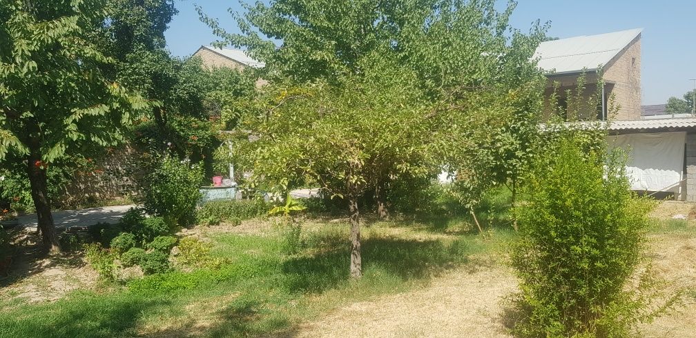 Toshkent tumani uchaska sotiladi