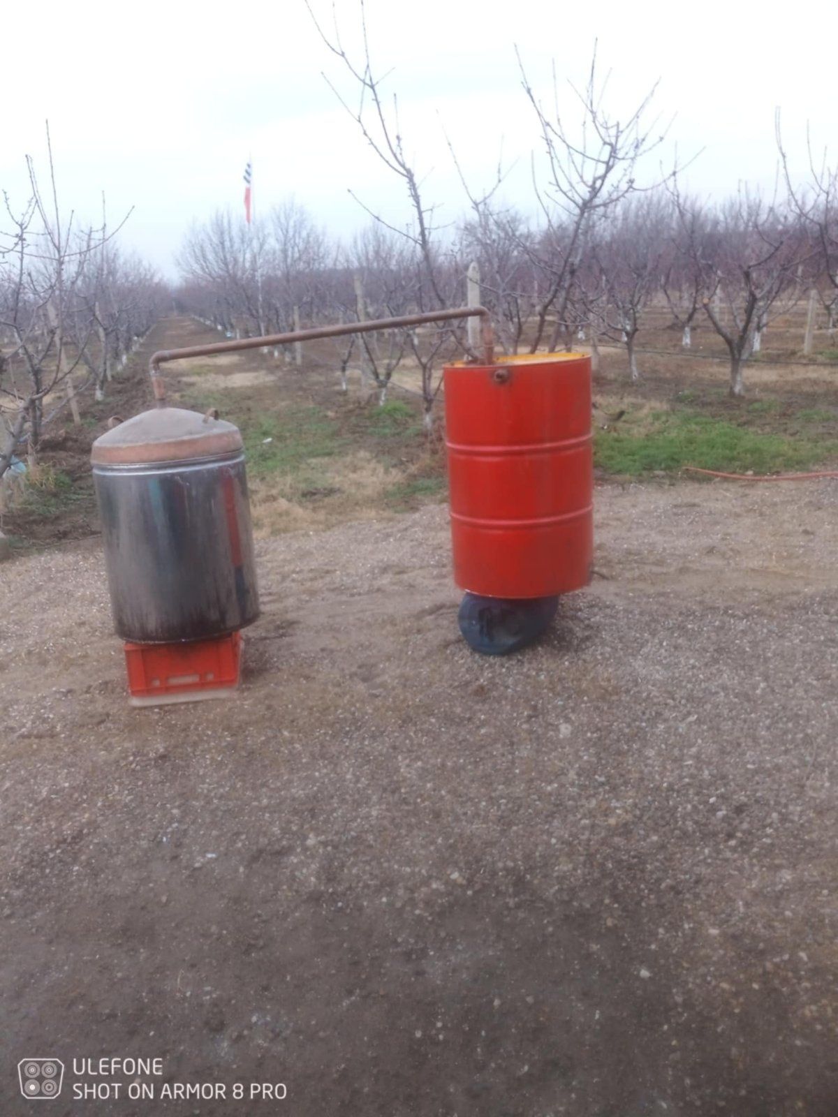 Съд за варене на плодове