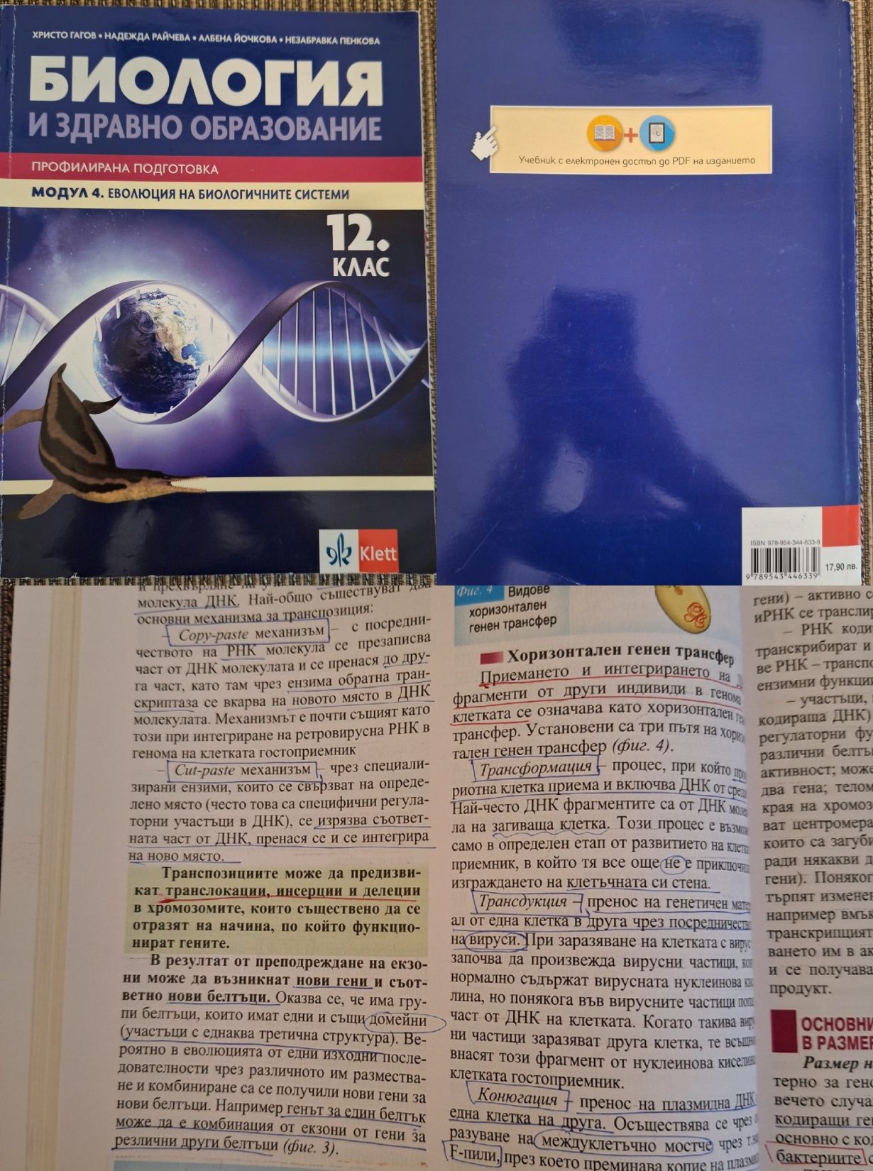 Учебници за 11/12 клас