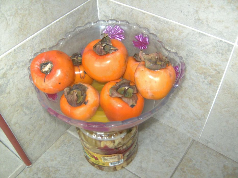 фотоапара TRAVELER DC-7900