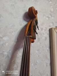 Котрасбас музыкальный инструмент Скрипка
