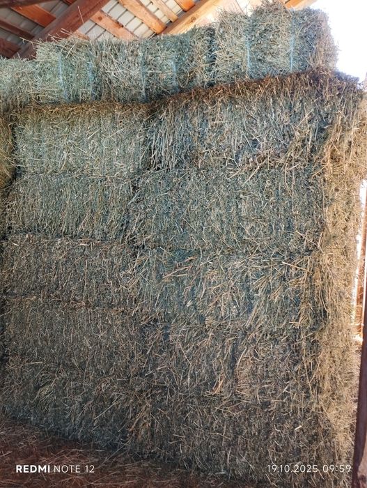 Vând baloți lucernă coasa 2-3-4