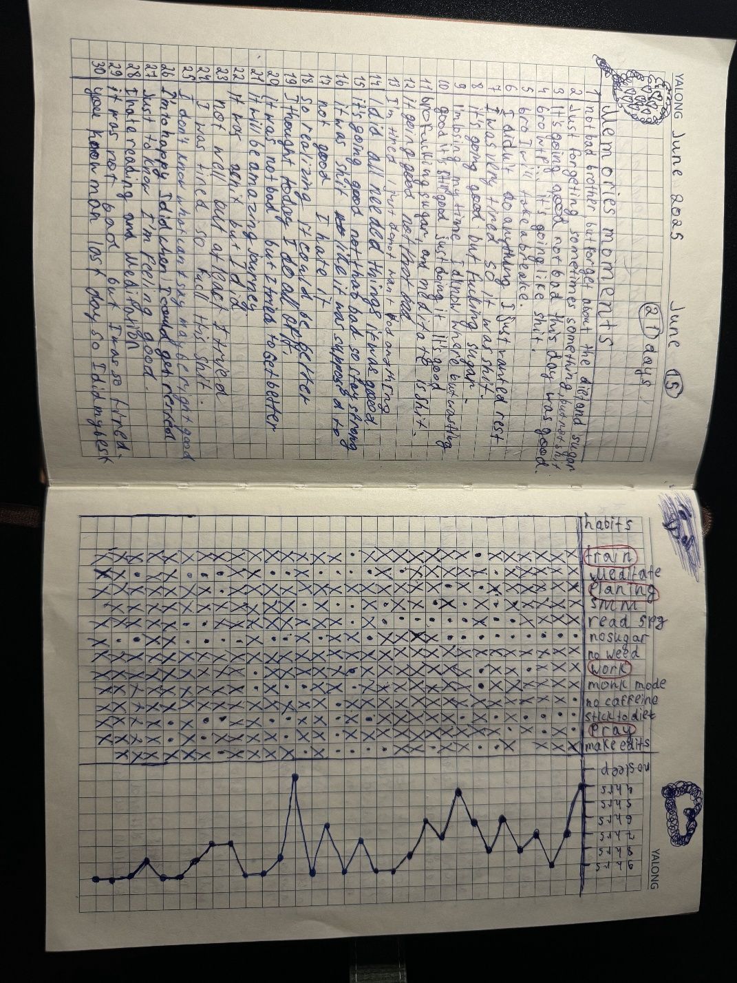 True Strategist-Planner.