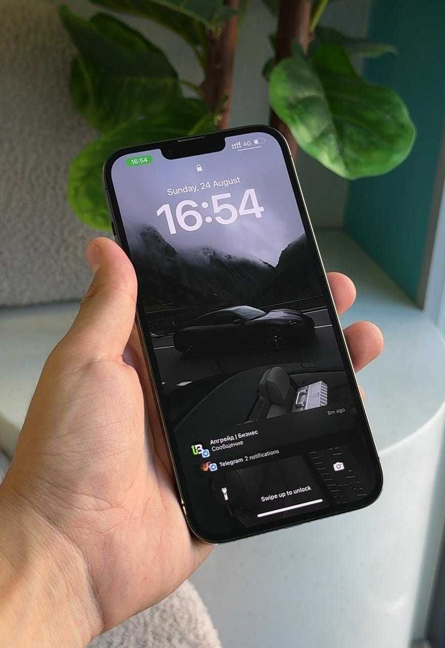 Iphone 13 pro max
