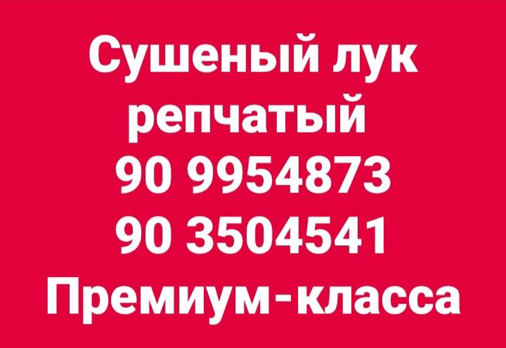 Сушеный чеснок и лук репчатый собственного приготовления