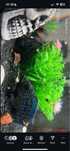 Vând ciclide Jack Dempsey si Green Severum