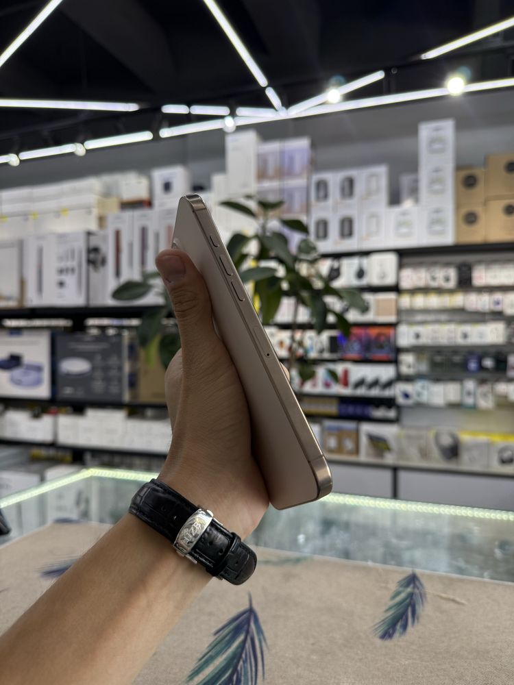 iPhone 16 Pro Max | 54 цикла | IDEAL