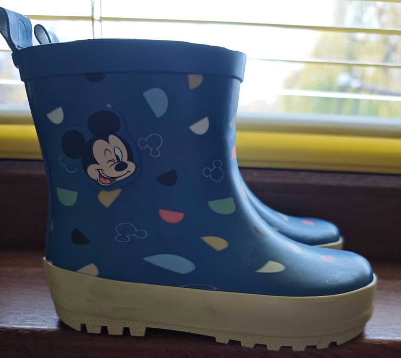 Гумени ботуши на Дисни