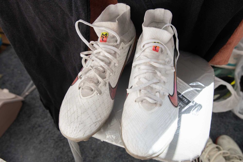 сорокошожки  в хорошем состоянии