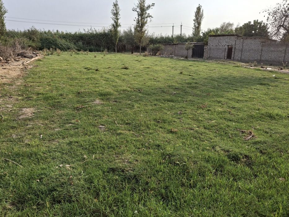 Yer uchastkasi sotiladi 10 sotix