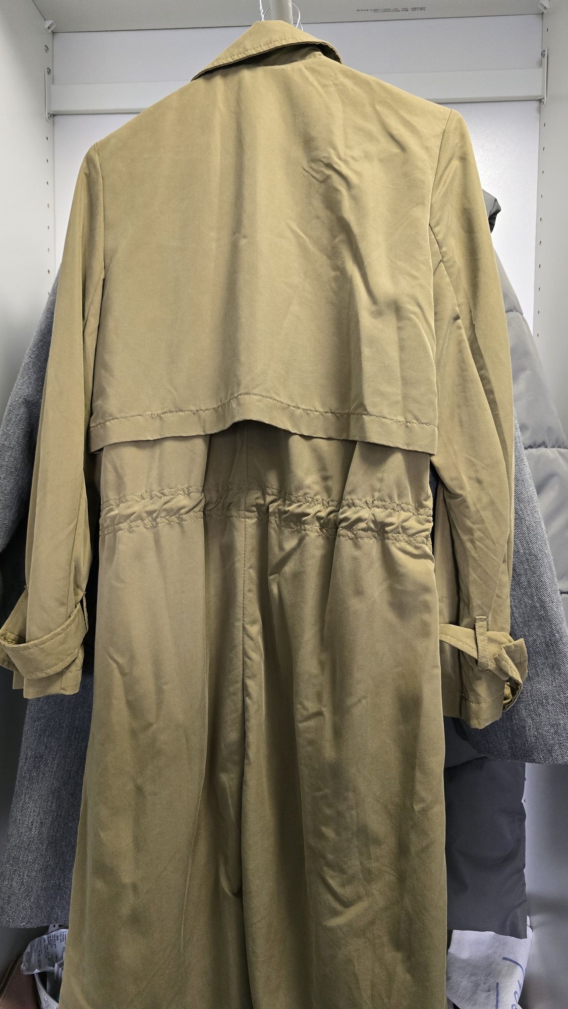 Trenci primavara, Mango