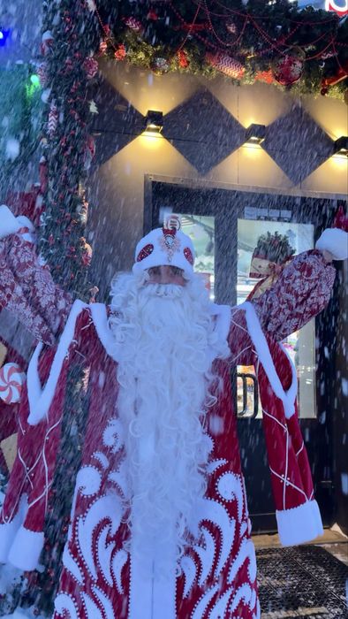 Дед мороз и снегурочка КОРПОРАТИВЫ и на дому