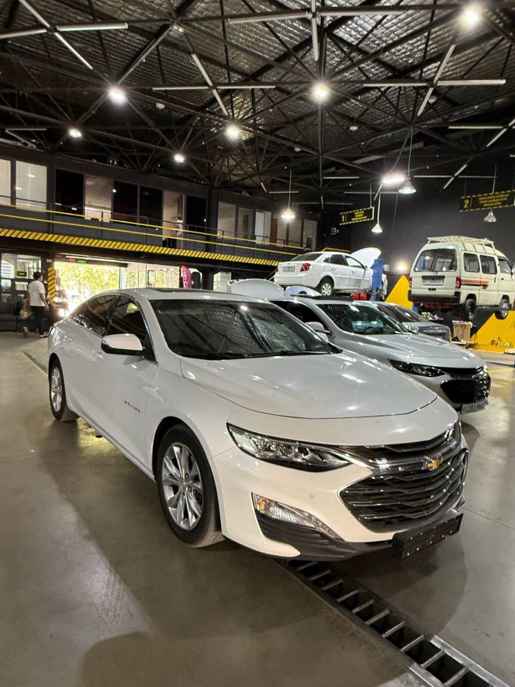 Malibu premier 2020