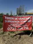 Teren de vanzare Ciolpani  25 €/mp (negociabil)