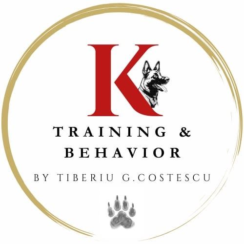 Dresaj  câini companie