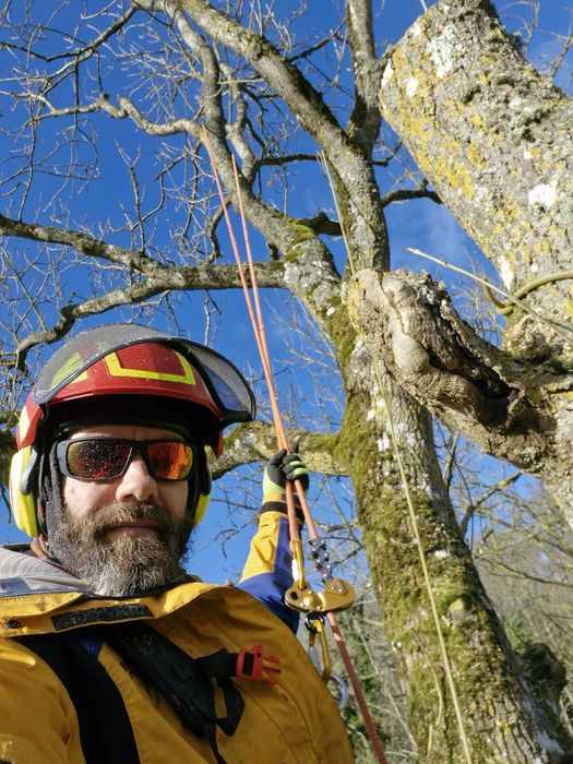 Taieri copaci la înălțime,alpinism utilitar. Elagaj.arbori .