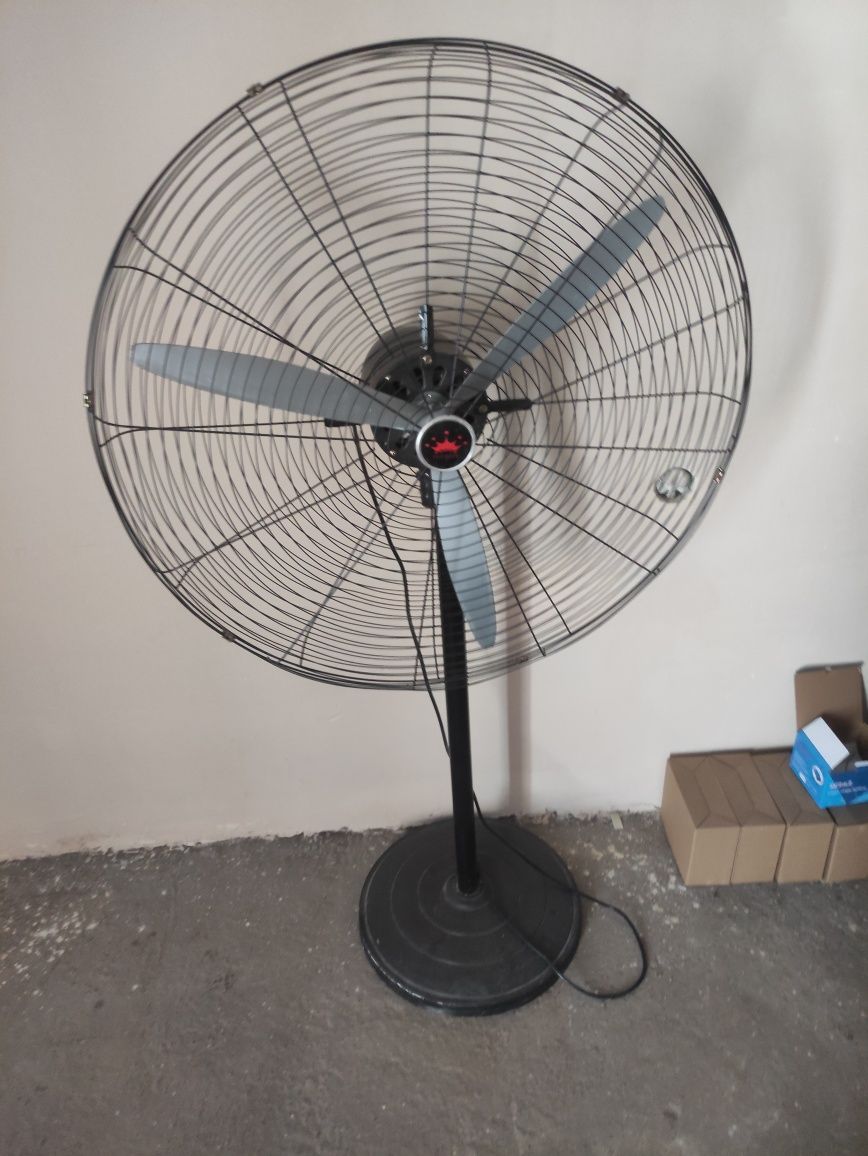 Veltinator xali yangidek