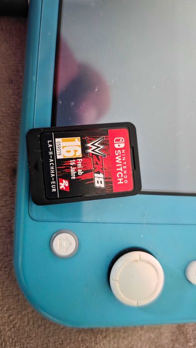 Nintendo switch lite