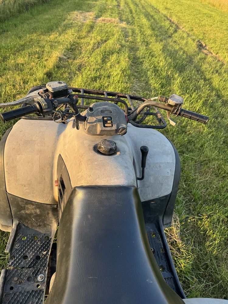 vand atv linhai 300